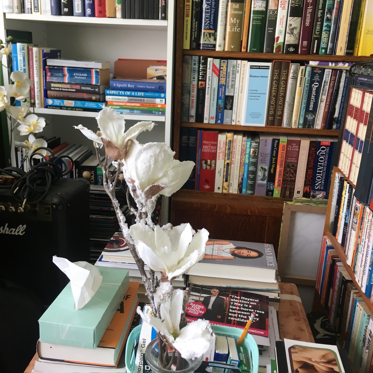 no surprise that the visual aesthetics of bookshelves have become a popular trend among TikTok influencers. In a world dominated by social media and digital content, the resurgence of physical books and bookshelves as a fashionable statement is an interesting phenomenon. This trend reflects a desire for authenticity and a longing for connection to the past.